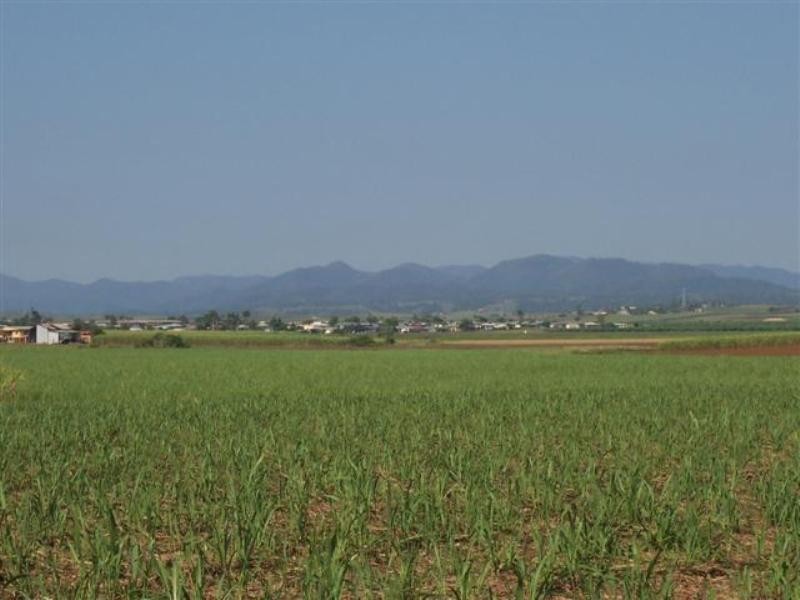 306 Japoon Road, Innisfail QLD 4860