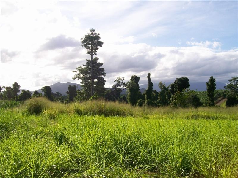 RP1122 Pullom Road, Nerada, Innisfail QLD 4860