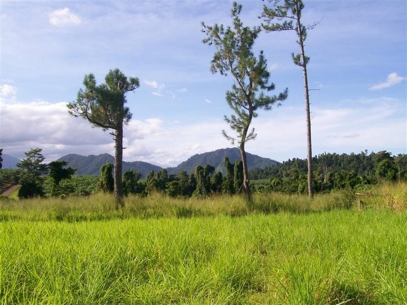 RP1122 Pullom Road, Nerada, Innisfail QLD 4860