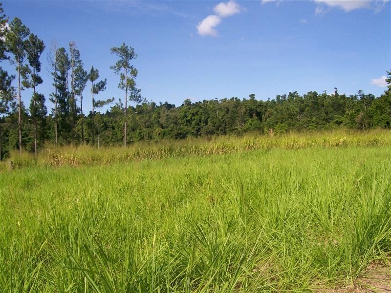 RP1122 Pullom Road, Nerada, Innisfail QLD 4860