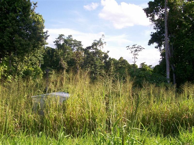 RP1122 Pullom Road, Nerada, Innisfail QLD 4860