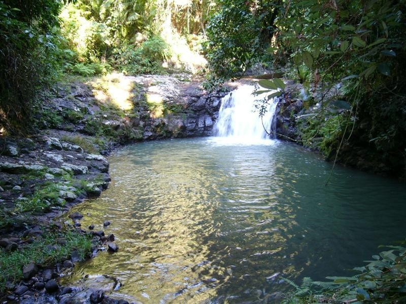 1249 Utchee Creek Road, Mena Creek QLD 4871