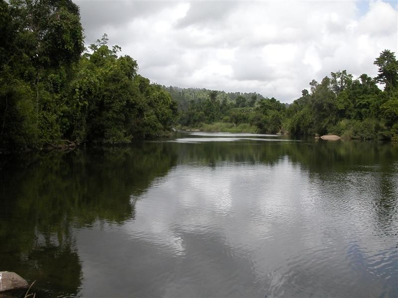 1249 Utchee Creek Road, Mena Creek QLD 4871