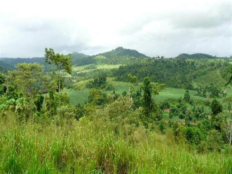 1249 Utchee Creek Road, Mena Creek QLD 4871