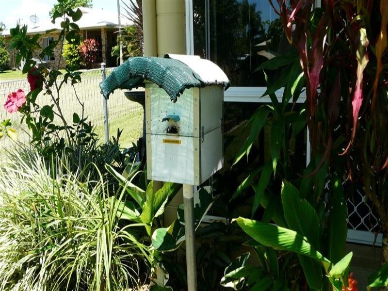 9 CALLENDAR Drive, Innisfail QLD 4860