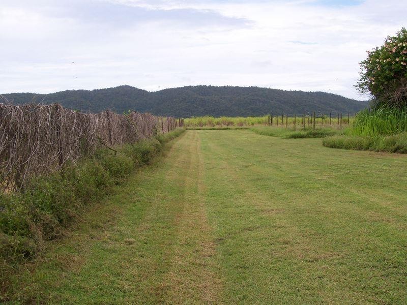 45 Jay Road, Mourilyan Harbour, Innisfail QLD 4860