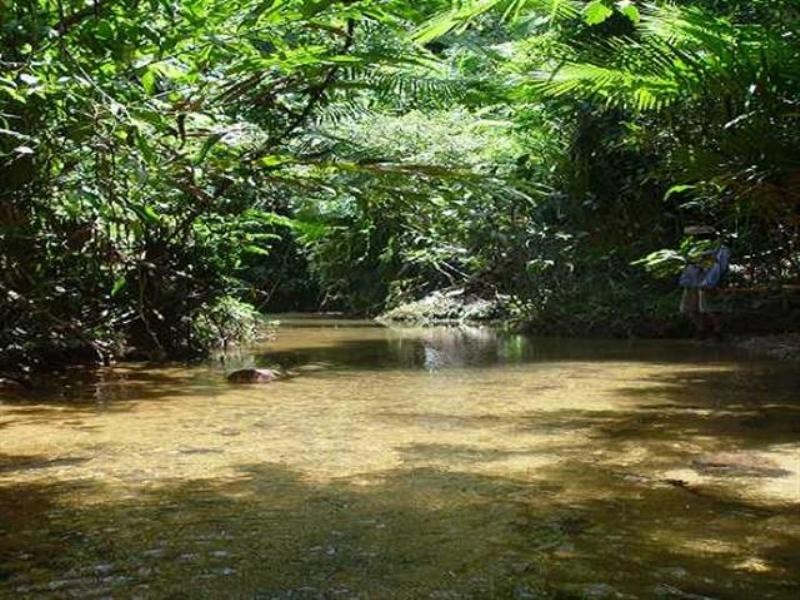 Lot 4 Woopen Creek Road, Innisfail QLD 4860