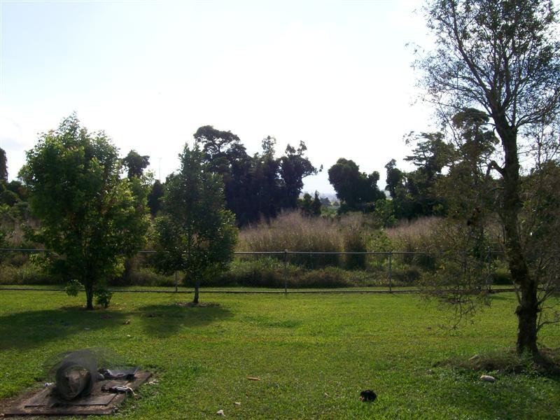 242 Palmerston Highway, Innisfail QLD 4860