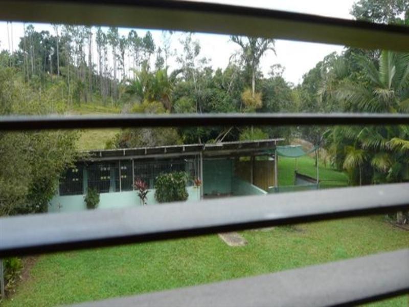 Rural Post 381 Flying Fish Point Road, Innisfail QLD 4860
