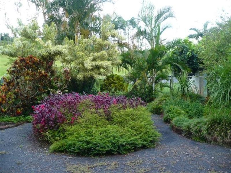 Rural Post 381 Flying Fish Point Road, Innisfail QLD 4860