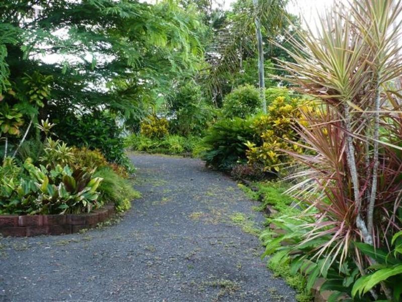 Rural Post 381 Flying Fish Point Road, Innisfail QLD 4860