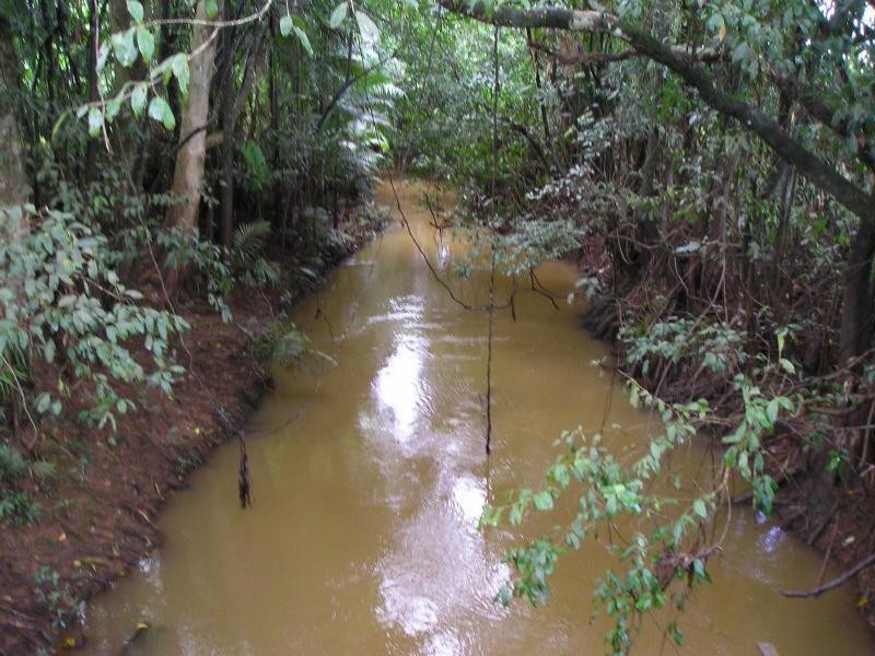 5 Mamu Road, Garradunga QLD 4860