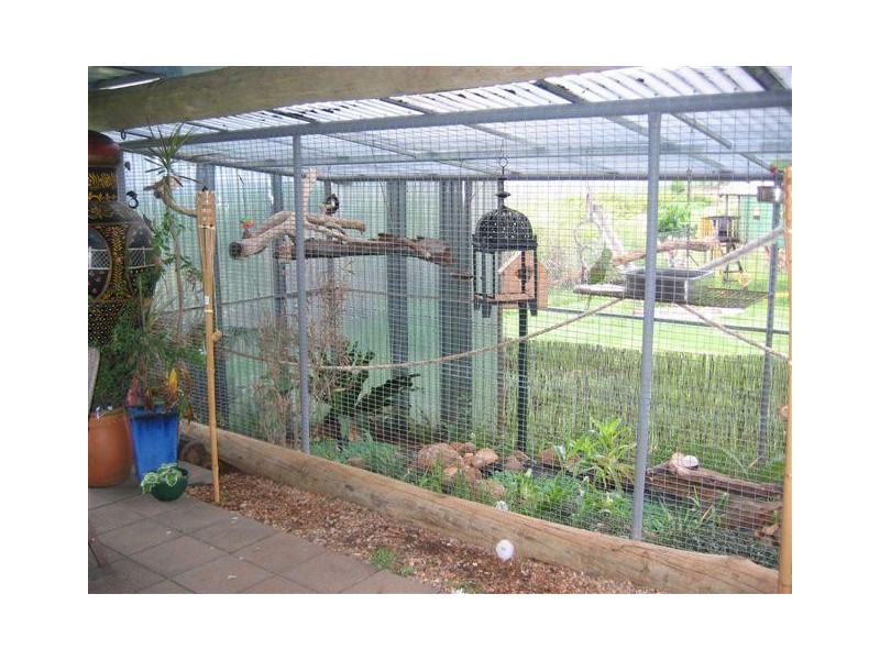 38 Brischetto Drive, Innisfail QLD 4860