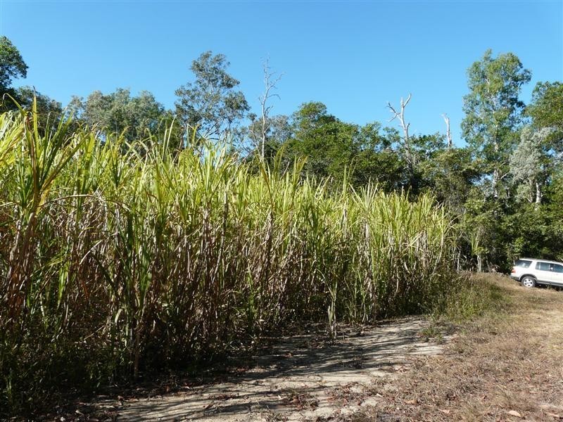 Lots 1, 2, 55 Ellerbeck Road, Cardwell QLD 4849