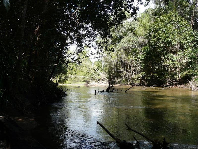 Lots 1, 2, 55 Ellerbeck Road, Cardwell QLD 4849