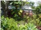 381 Flying Fish Point Road, Innisfail QLD 4860