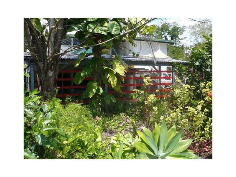 381 Flying Fish Point Road, Innisfail QLD 4860