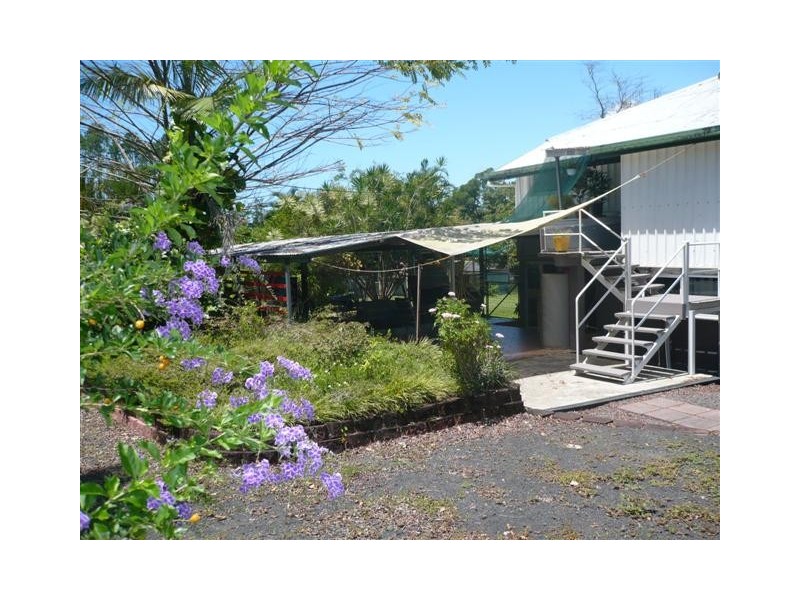 381 Flying Fish Point Road, Innisfail QLD 4860