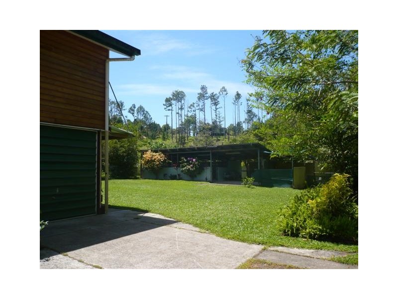 381 Flying Fish Point Road, Innisfail QLD 4860
