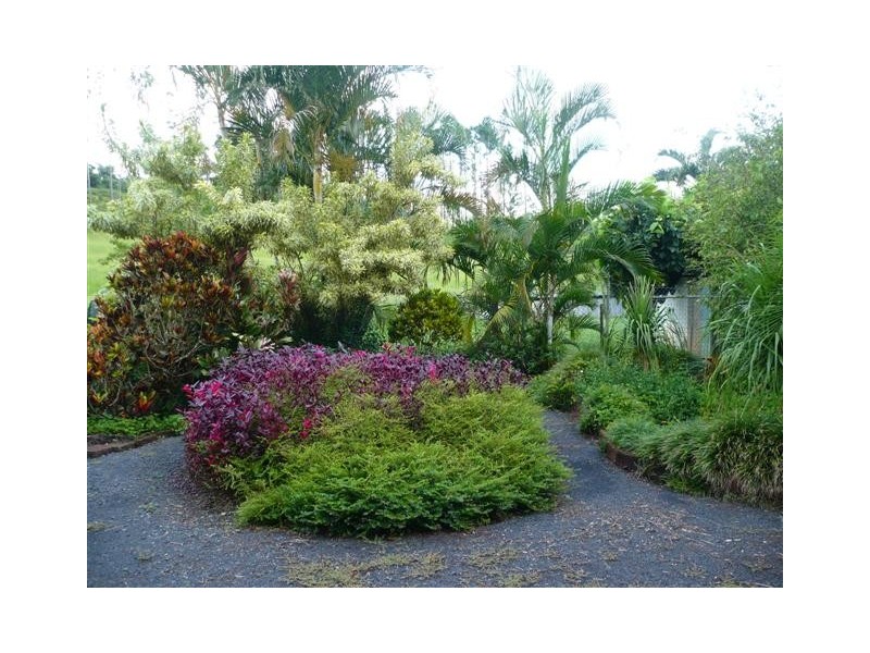 381 Flying Fish Point Road, Innisfail QLD 4860