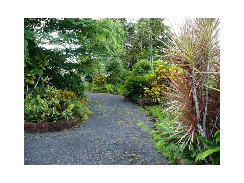 381 Flying Fish Point Road, Innisfail QLD 4860