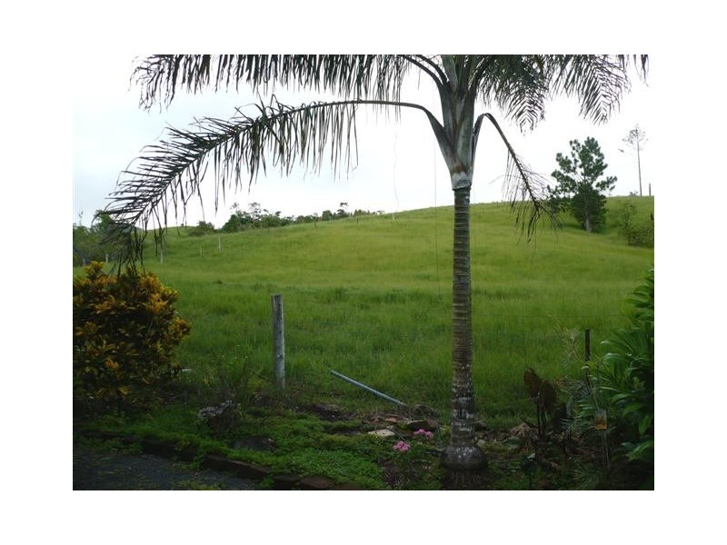 381 Flying Fish Point Road, Innisfail QLD 4860