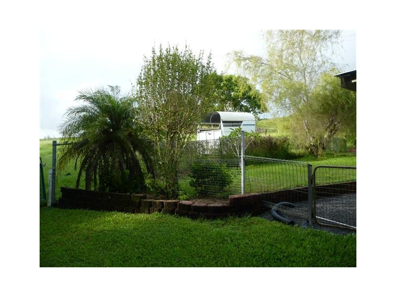 381 Flying Fish Point Road, Innisfail QLD 4860