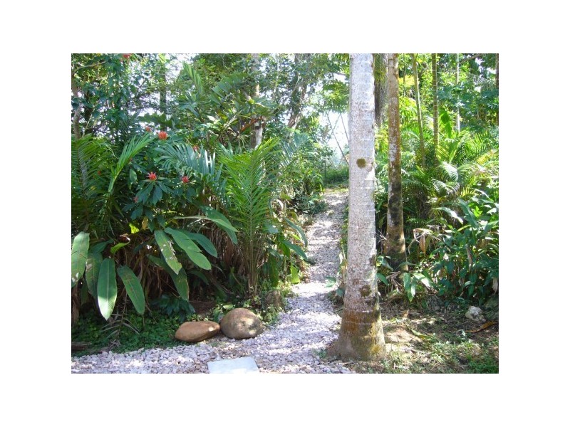 417 East Feluga, Feluga, Innisfail QLD 4860