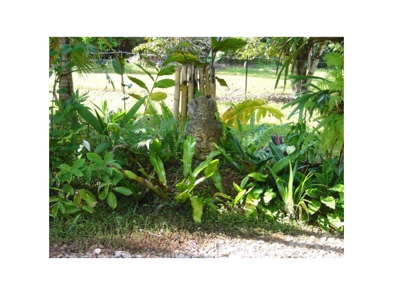 417 East Feluga, Feluga, Innisfail QLD 4860