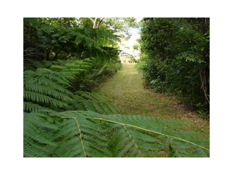 L3 Dinner Creek Road, Innisfail QLD 4860