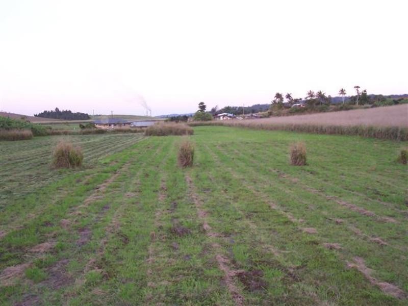 11 Twine Road, Innisfail QLD 4860