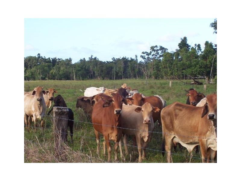 L14 Bruce Highway, Innisfail QLD 4860