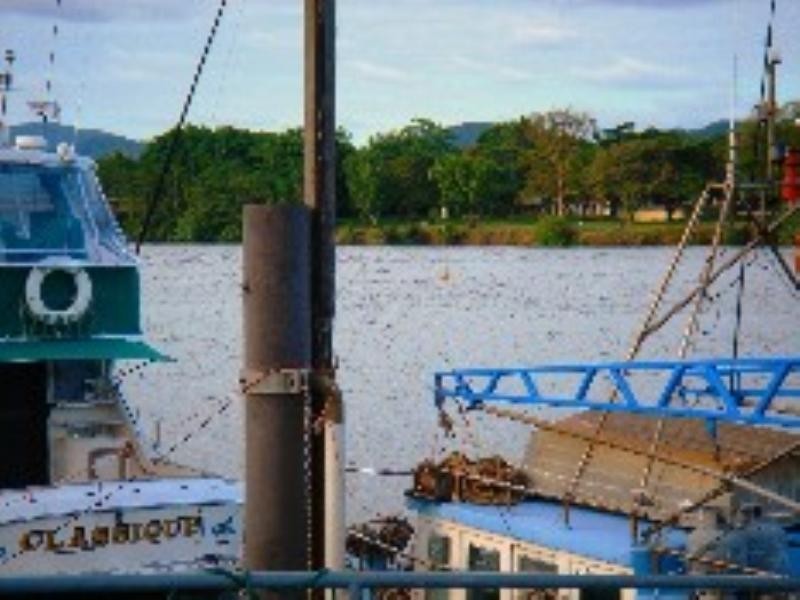 38 Riverside Crescent, Innisfail QLD 4860