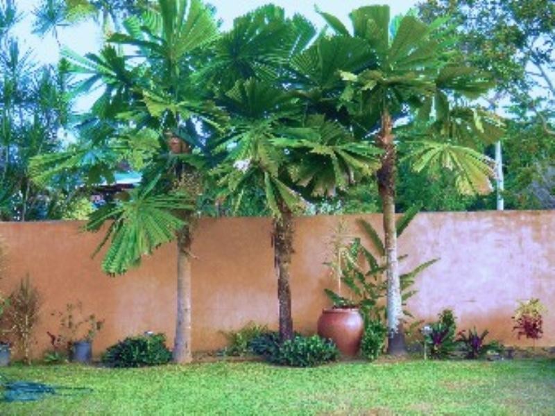 38 Riverside Crescent, Innisfail QLD 4860