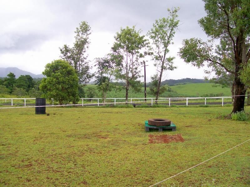 Rural P125 Donkin Road, Utchee Creek, Innisfail QLD 4860