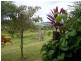 Rural P125 Donkin Road, Utchee Creek, Innisfail QLD 4860