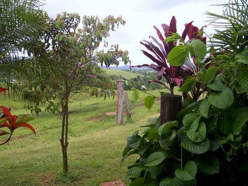 Rural P125 Donkin Road, Utchee Creek, Innisfail QLD 4860
