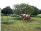 Rural P125 Donkin Road, Utchee Creek, Innisfail QLD 4860