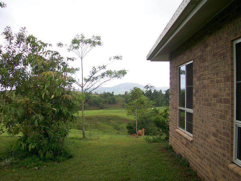 Rural P125 Donkin Road, Utchee Creek, Innisfail QLD 4860