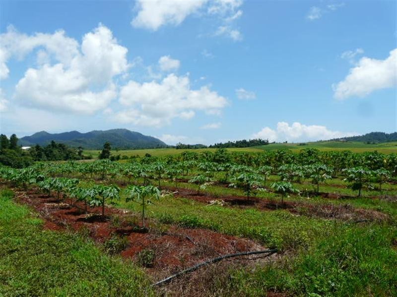 Lot 4 Fallon Road, Garradunga QLD 4860