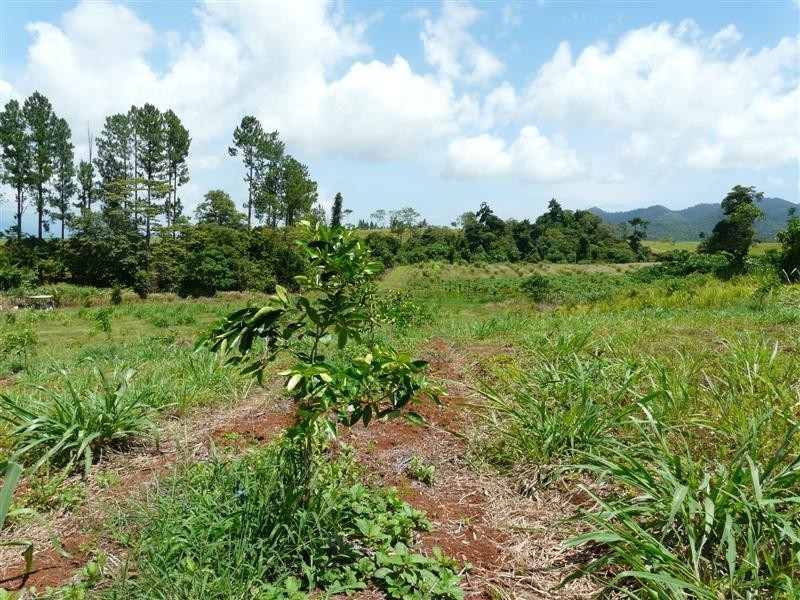 Lot 4 Fallon Road, Garradunga QLD 4860