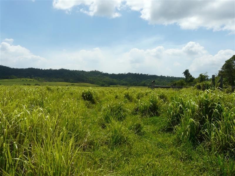 156 Meuanbah Road, Mena Creek QLD 4871