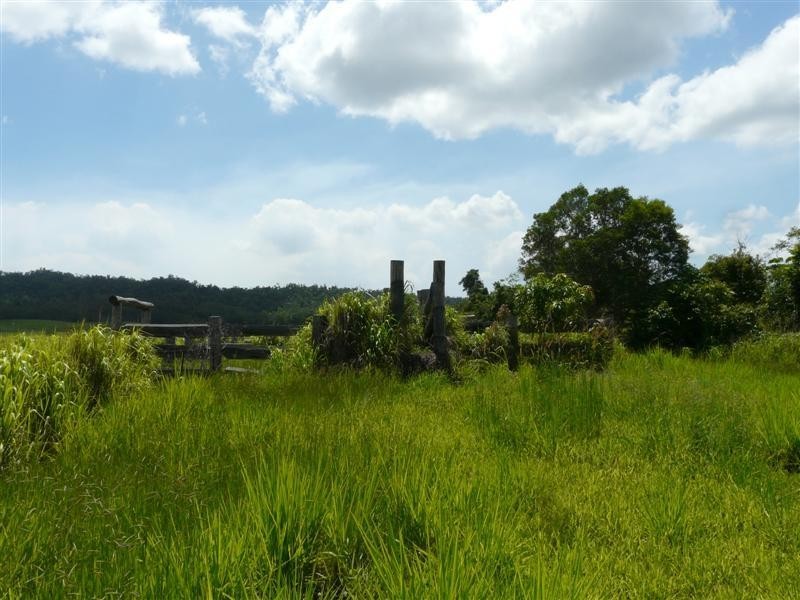 156 Meuanbah Road, Mena Creek QLD 4871