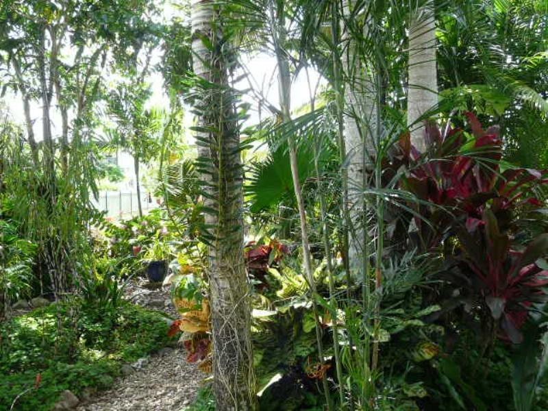 9 COLYER Close, Innisfail QLD 4860