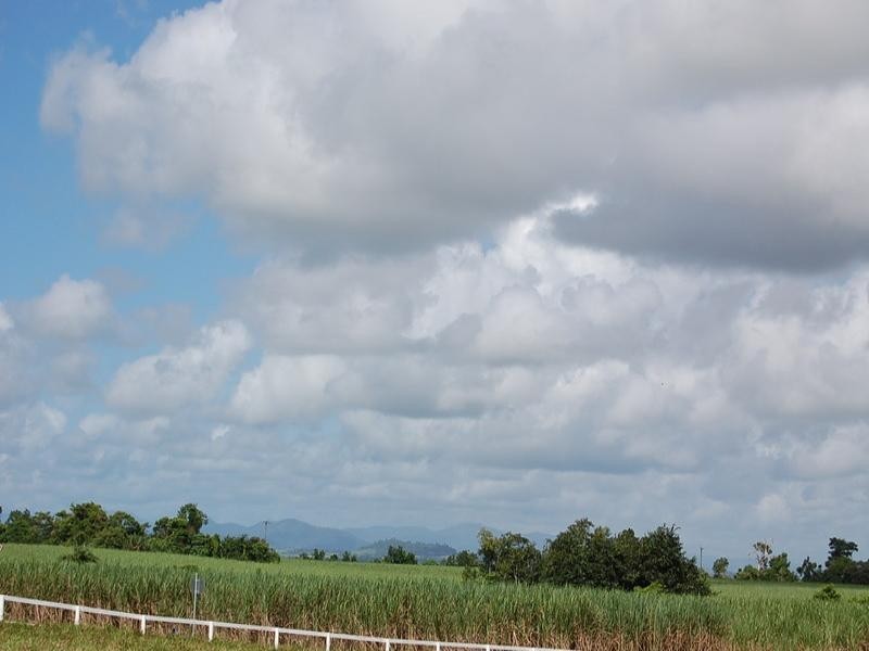 1 Witchetty Place, Innisfail QLD 4860