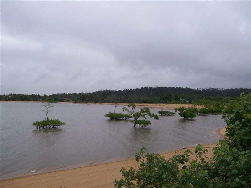 90 Bay Road,COCONUTS, Innisfail QLD 4860