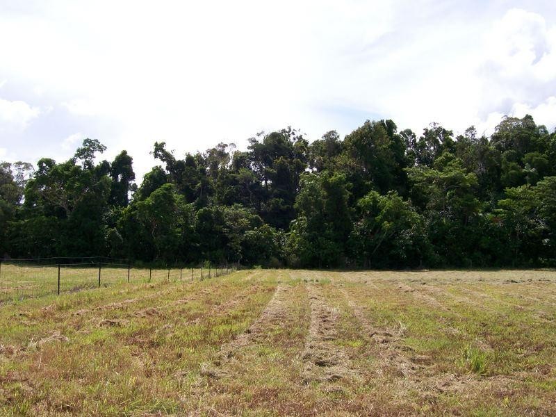 6 Witchetty Place, Innisfail QLD 4860