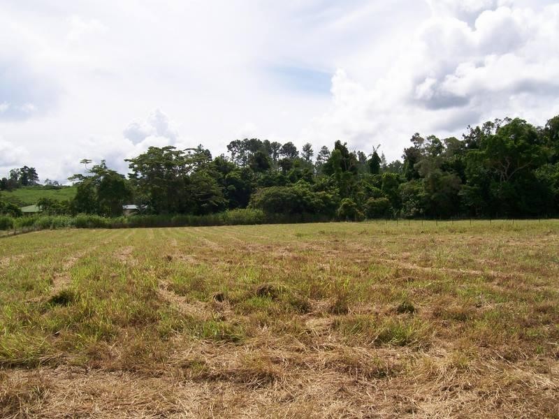 4 Witchetty Place, Innisfail QLD 4860