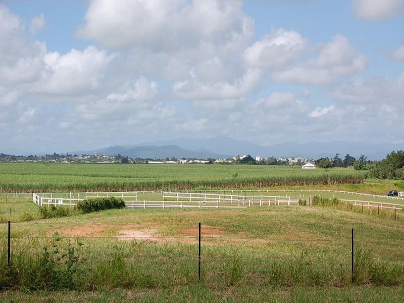 10 Witchetty Place, Innisfail QLD 4860