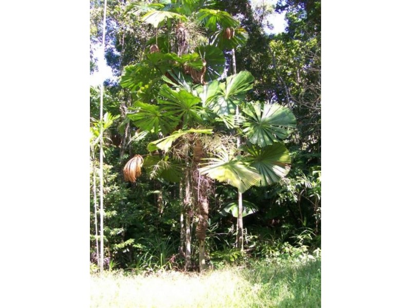 Lot 67 Greendale Court, Jubilee Heights, Innisfail QLD 4860